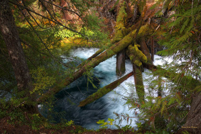 Log Jam - Mckenzie River - Oregon