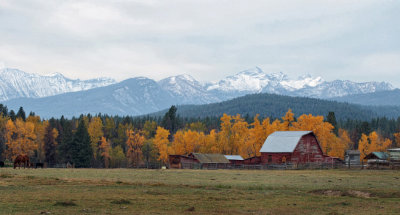 Bitterroot Range - Montana