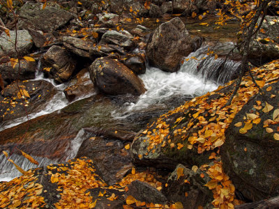 Kootenai Creek - Montana