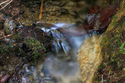 Small Creek - Drift Creek Trail - Oregon