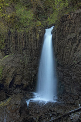 Drift Creek Falls - Oregon