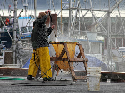 Washing Away the Hagfish Slime - Newport, Oregon