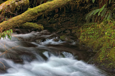 Drift Creek  - Oregon