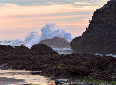 Seal Rock Beach - Oregon