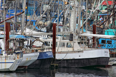Newport Boats - Newport, Oregon