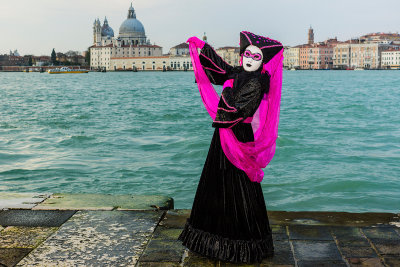 Carnaval Venise 2014_470.jpg