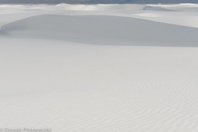 Ocean of Sand  (White Sands NM)