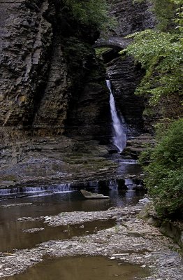 Watkins Glen