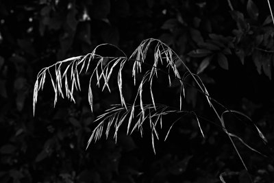 g9/80/1058380/3/152719393.0C9WbV5i.jpg