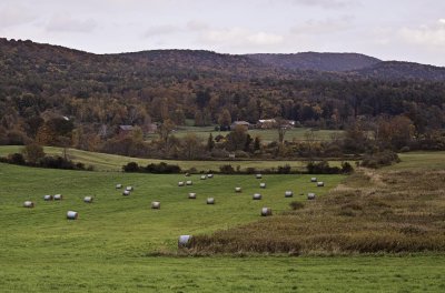 Tyringham