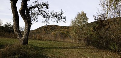 Ashintully Farm