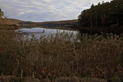 Blair Pond