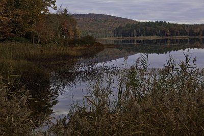 Blair Pond