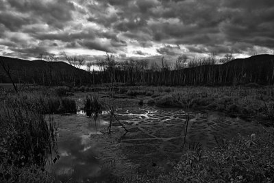 More Berkshire Landscapes