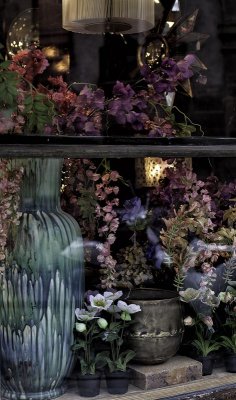 Florist Window