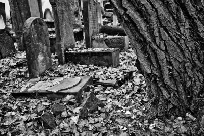 Warsaw's Jewish Cemetery