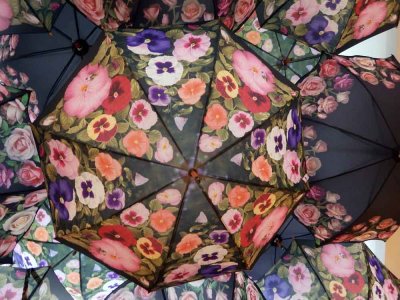 Umbrellas4Sale.CherylPady.jpg