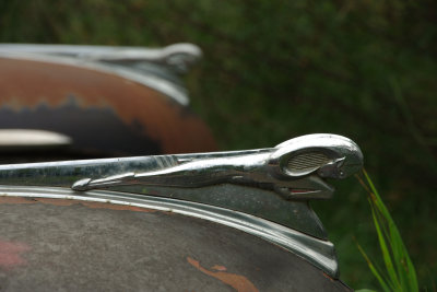 Hood Ornament by Shar