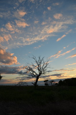 DSC_6327.jpg