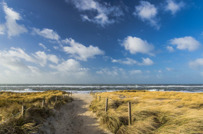 zee en duinen (texel, nl)