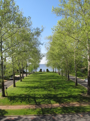 Historic Edenton 046.JPG