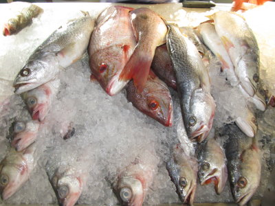 Nixon Fishery 006.JPG