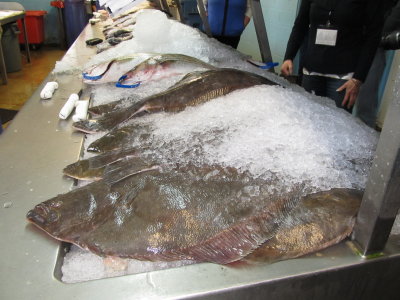 Nixon Fishery 010.JPG