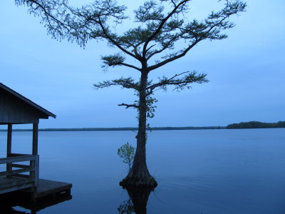 Waterfront 026.JPG