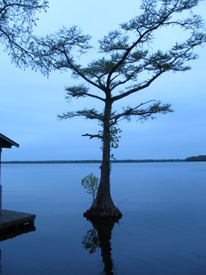 Waterfront 023.JPG