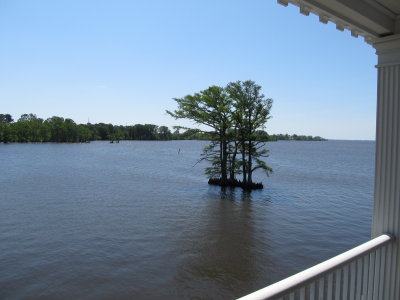 Waterfront 134.JPG