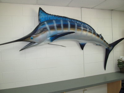 Albemarle Sportfishing Boats 220.JPG