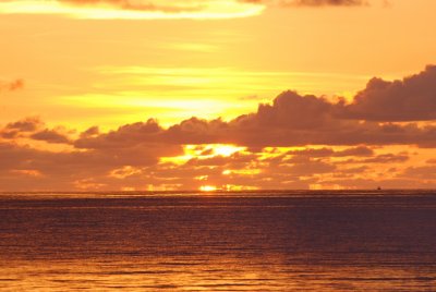 DSC_0267.jpg