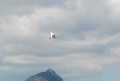 DSC_0771.jpg
