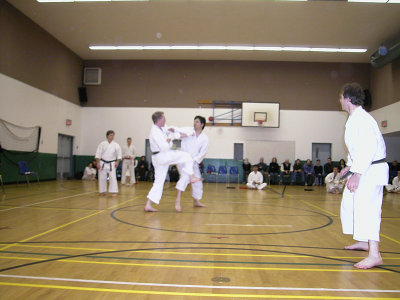 Goodwill Cup 2004