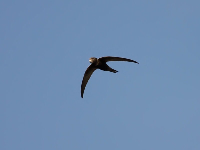 IMG_5432.jpg