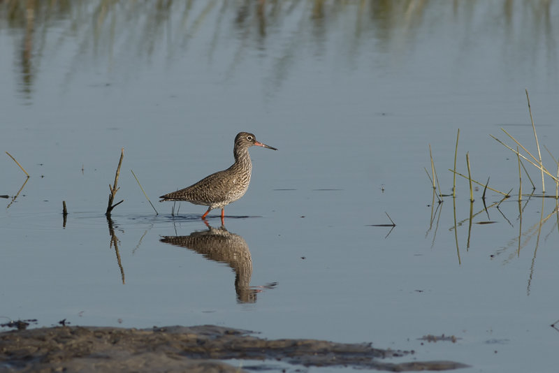 IMG_8364.jpg,len tevreugd, Wassenaar