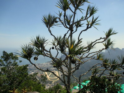 Christo Redentor IMG_0314.JPG