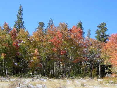 2013-09-22 Deep Red Array.jpg