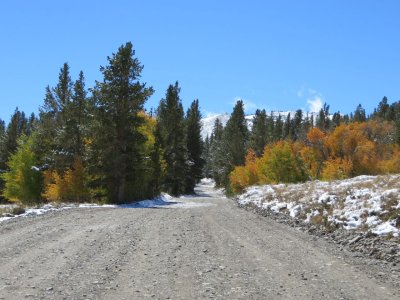 2013-09-22 Gold Road.jpg