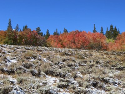 2013-09-22 Red Aspen Array.jpg