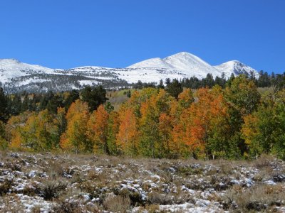2013-09-22-Aspens and Mountains.jpg