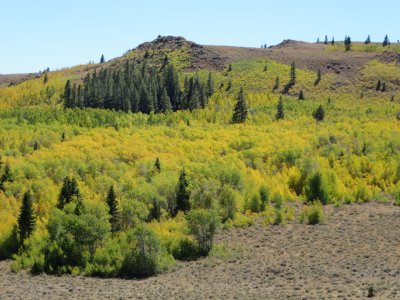 2013-09-22 Gold Monitor Grove.jpg
