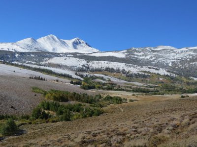 Eastern Sierra Aspens 2013