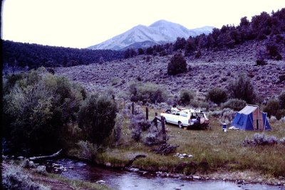 1988-00-00 Ford Desert Creek.jpg