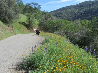 Ward's Ferry Road