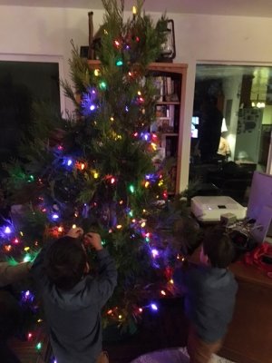 2016 Christmas Tree.JPG
