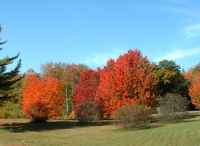 at the outskirts of town.jpg