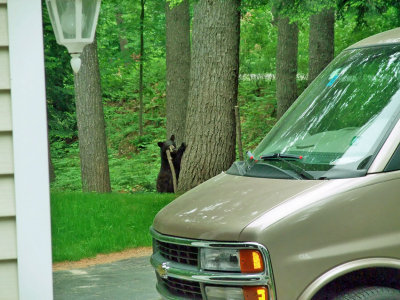 a visitor.jpg
