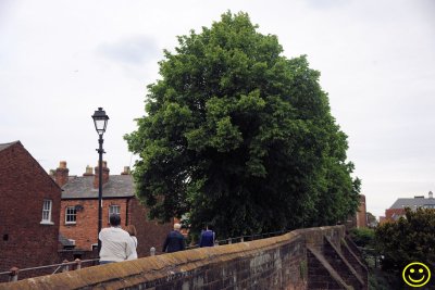Chester's walls. Sat 28.