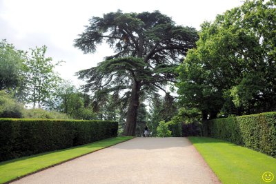 Blenheim Palace grounds Sat 26